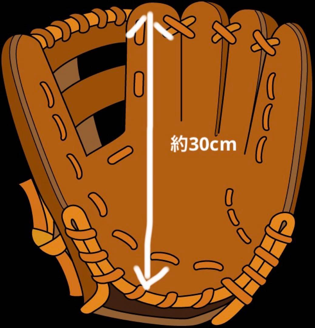 Mizuno ビューリーグ　ソフトボールグローブ キャーストミット　青ビュー