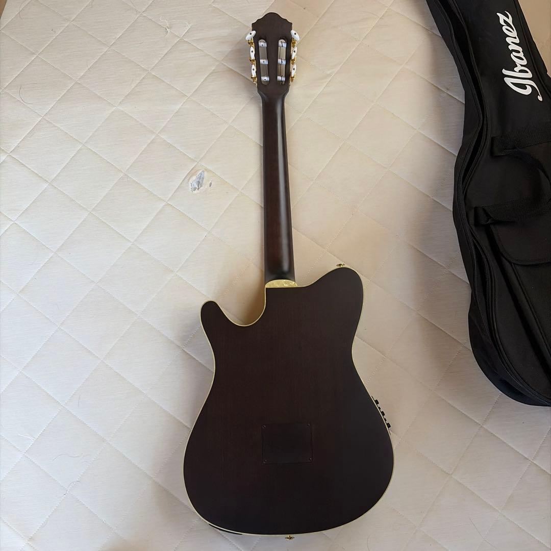 ギター ibanez TOD10N