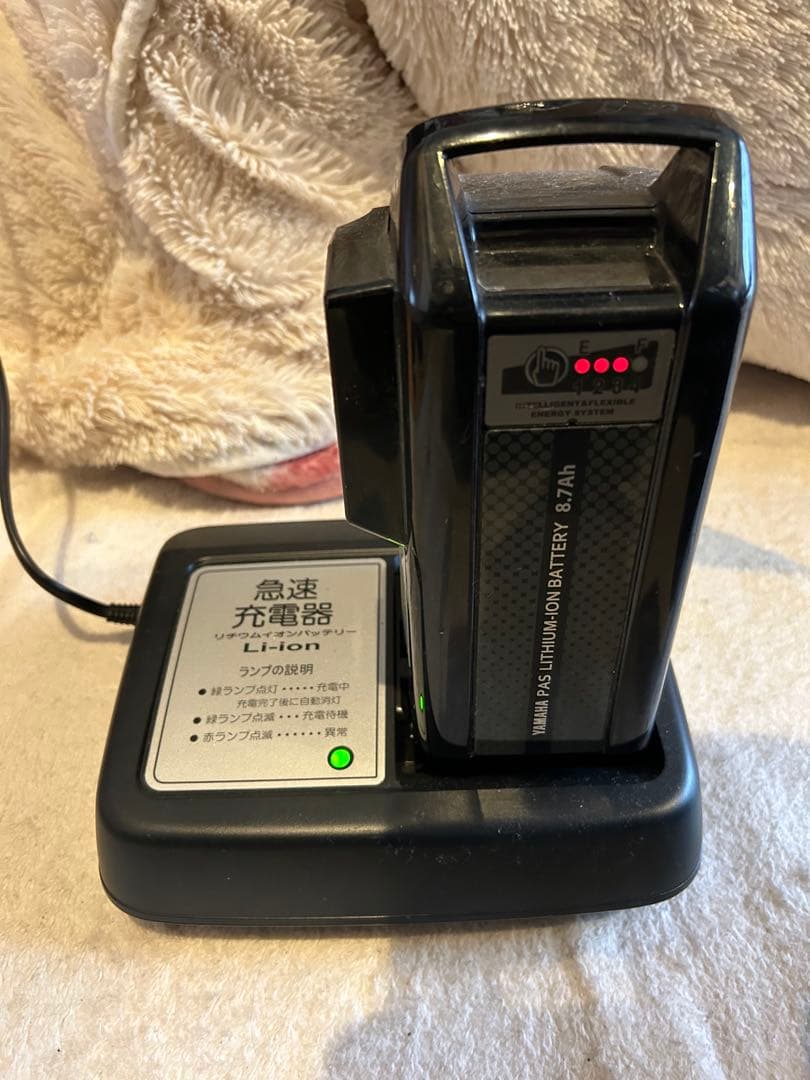 PAS SION 電動アシスト自転車