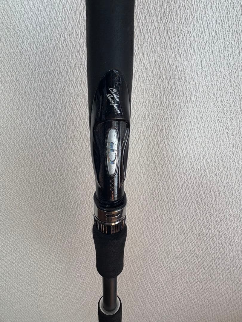 シーバスロッド Shimano ディアルーナs900ML