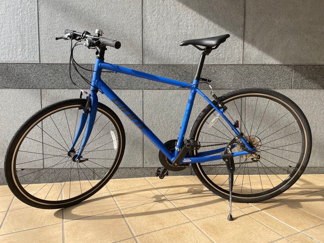 GIANT ESCAPE R3 2025年購入