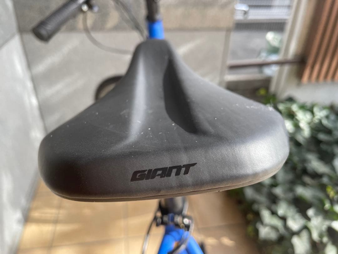 GIANT ESCAPE R3 2025年購入