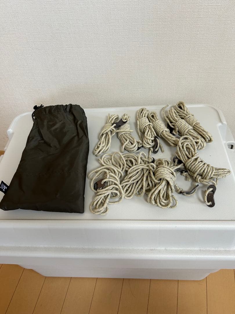 15日まで気まぐれセール中　Zanearts ゼインアーツ　GIGI-1 ギギ1