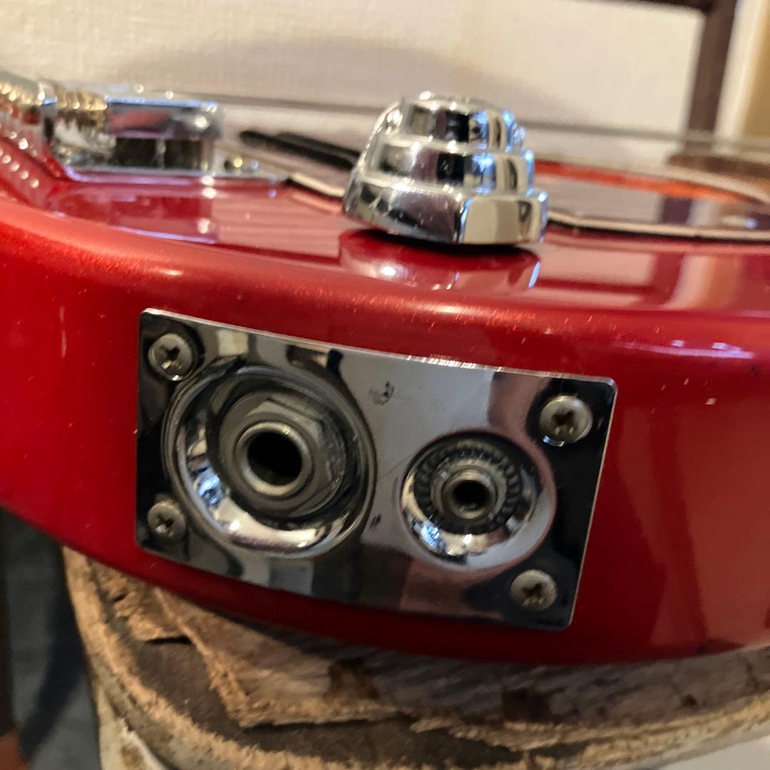 ピグノーズPGG レッド