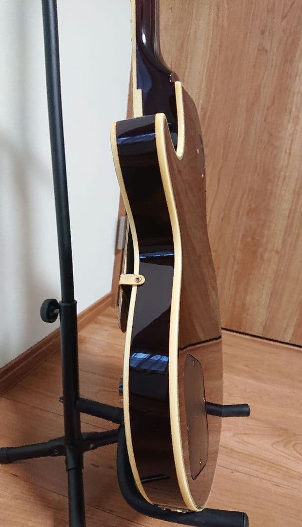 GrassRoots グラスルーツ エレキギター レスポール