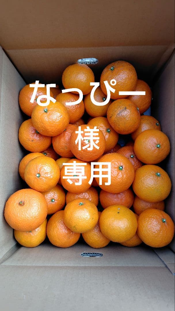 津之輝20㎏(家庭用)なっぴー