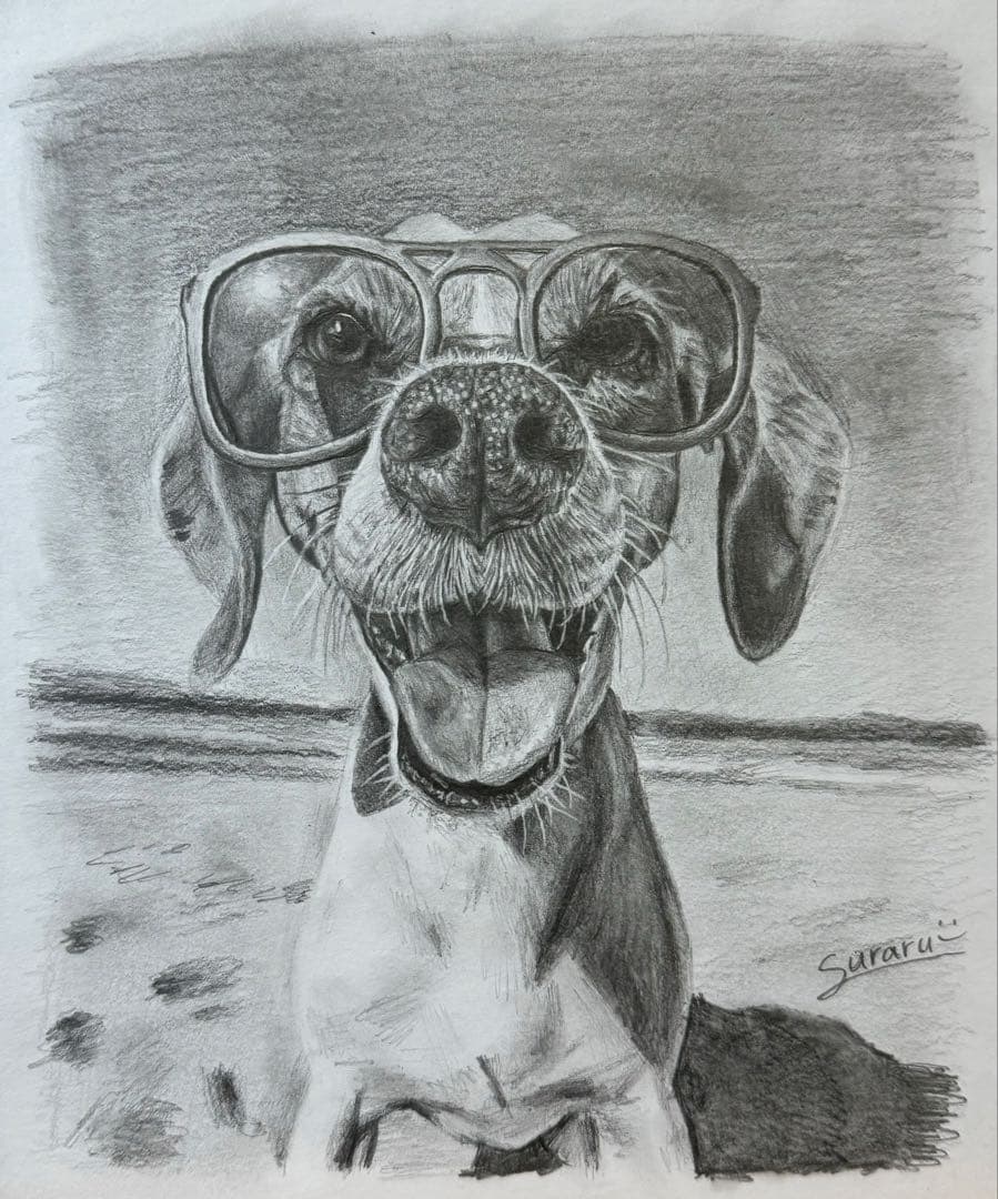 ビーグル 鉛筆画(色紙)