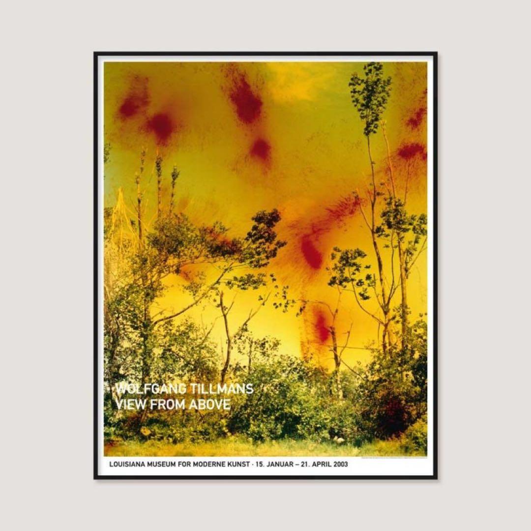 芸術写真 Wolfgang Tillmans Icestorm (2001) Poster