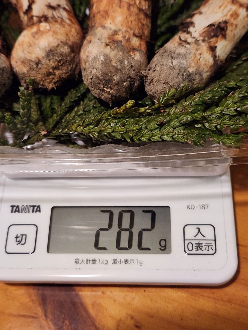 北海道産松茸　282g