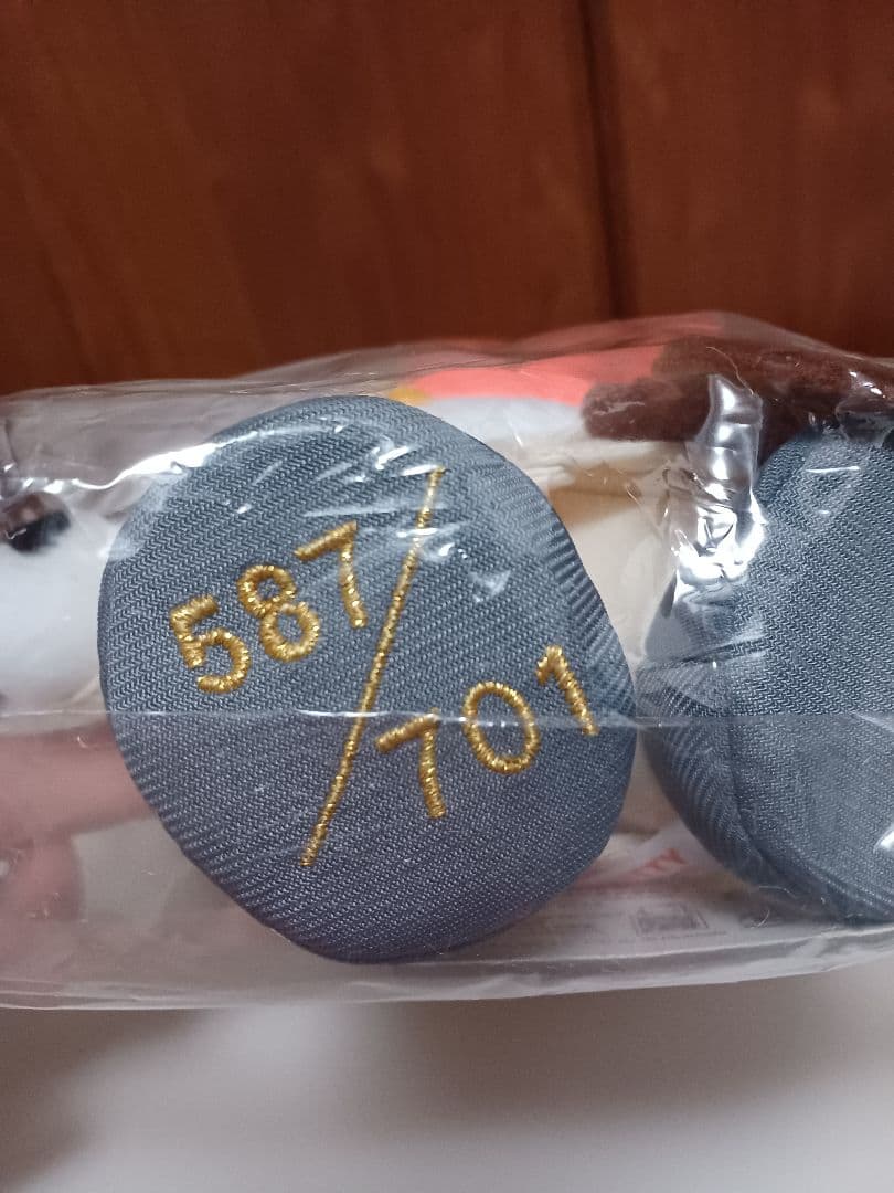 NAOTO 　ナオキティ　ポルノグラフィティ　バイオリニスト