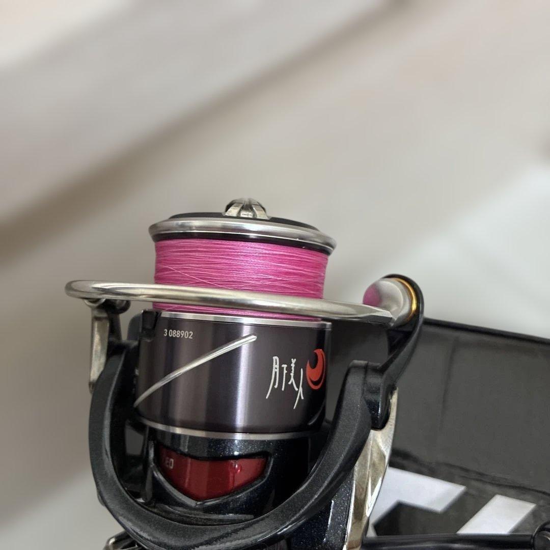 20月下美人　X LT2000S-P