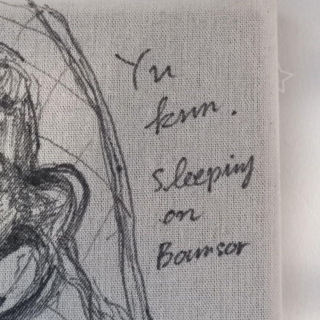 baby sleeping on bownsor (2020 原画)