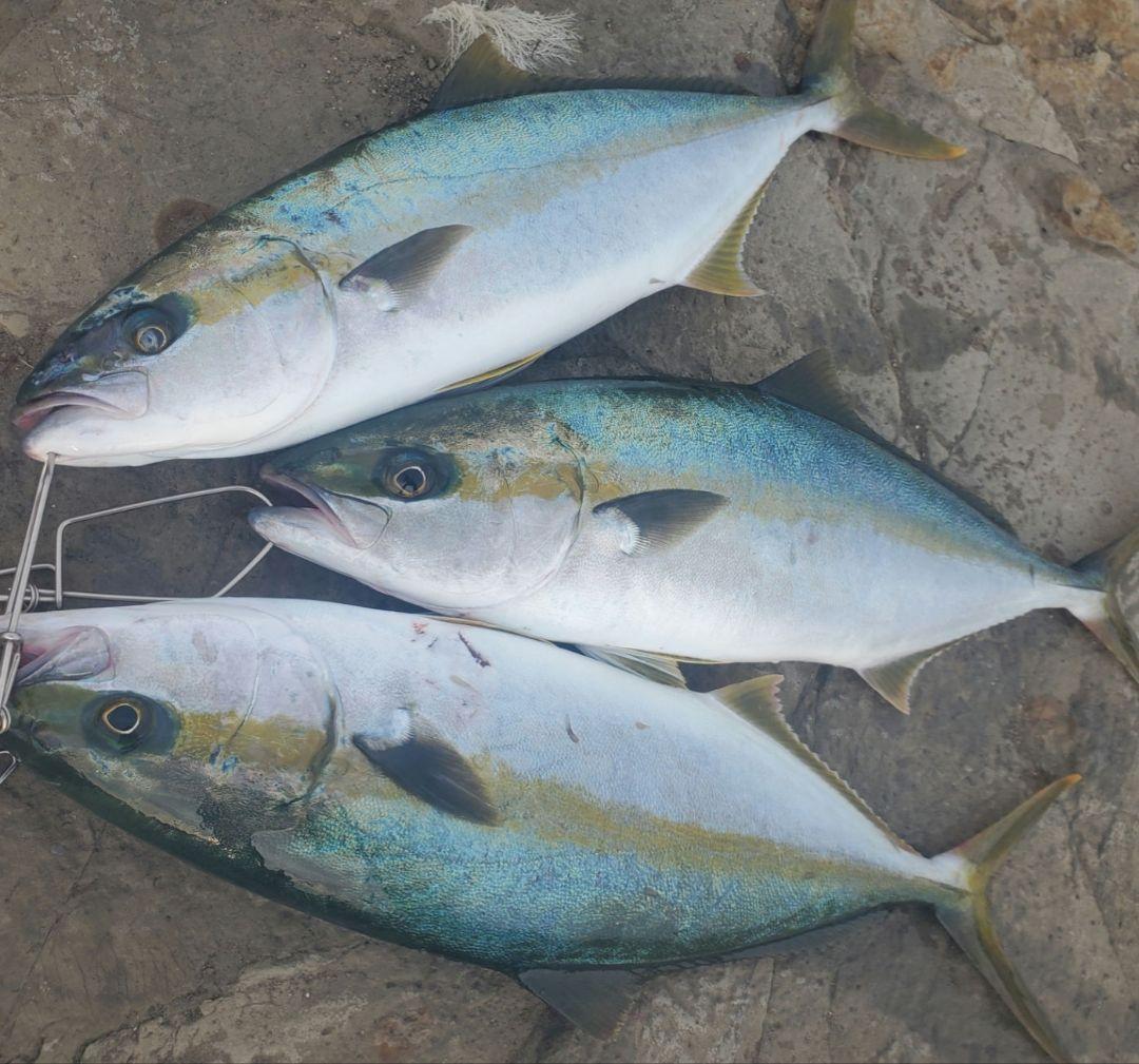 ジャンプライズ ララペン165F 150F 125F 3個セットJUMPRIZE