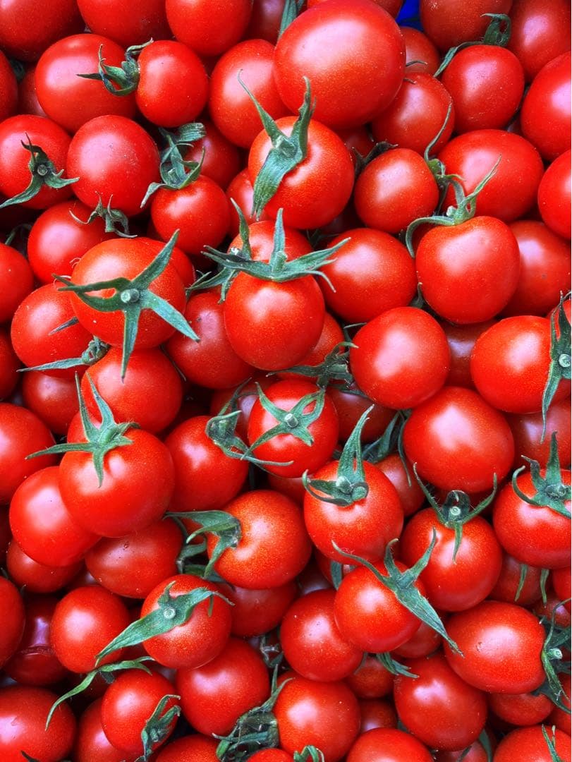 ミニトマト　12kg⭐️お買い得