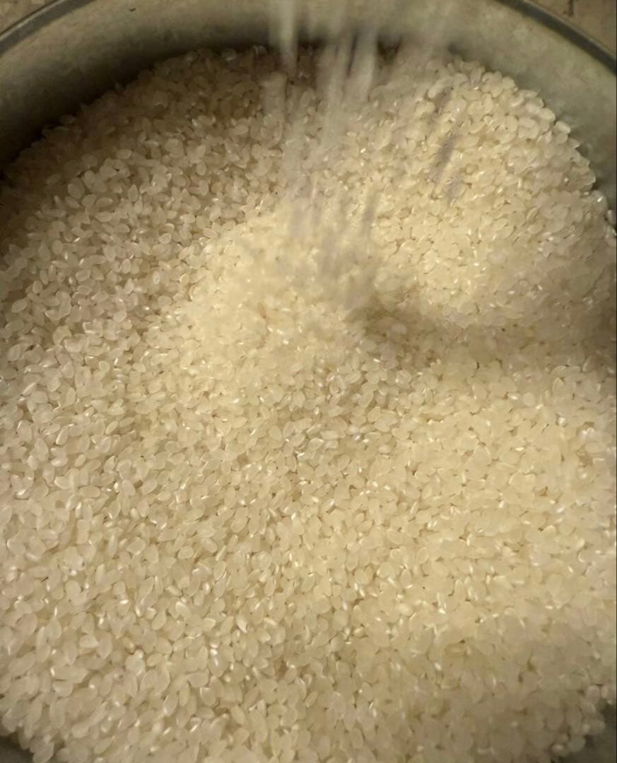 島根県産　令和7年　新米　コシヒカリ　農家直送