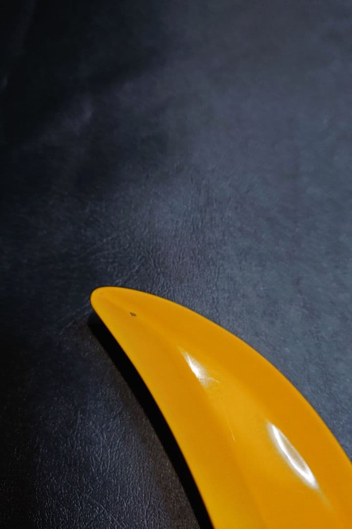 イエローハートJr　FERNANDES BURNY