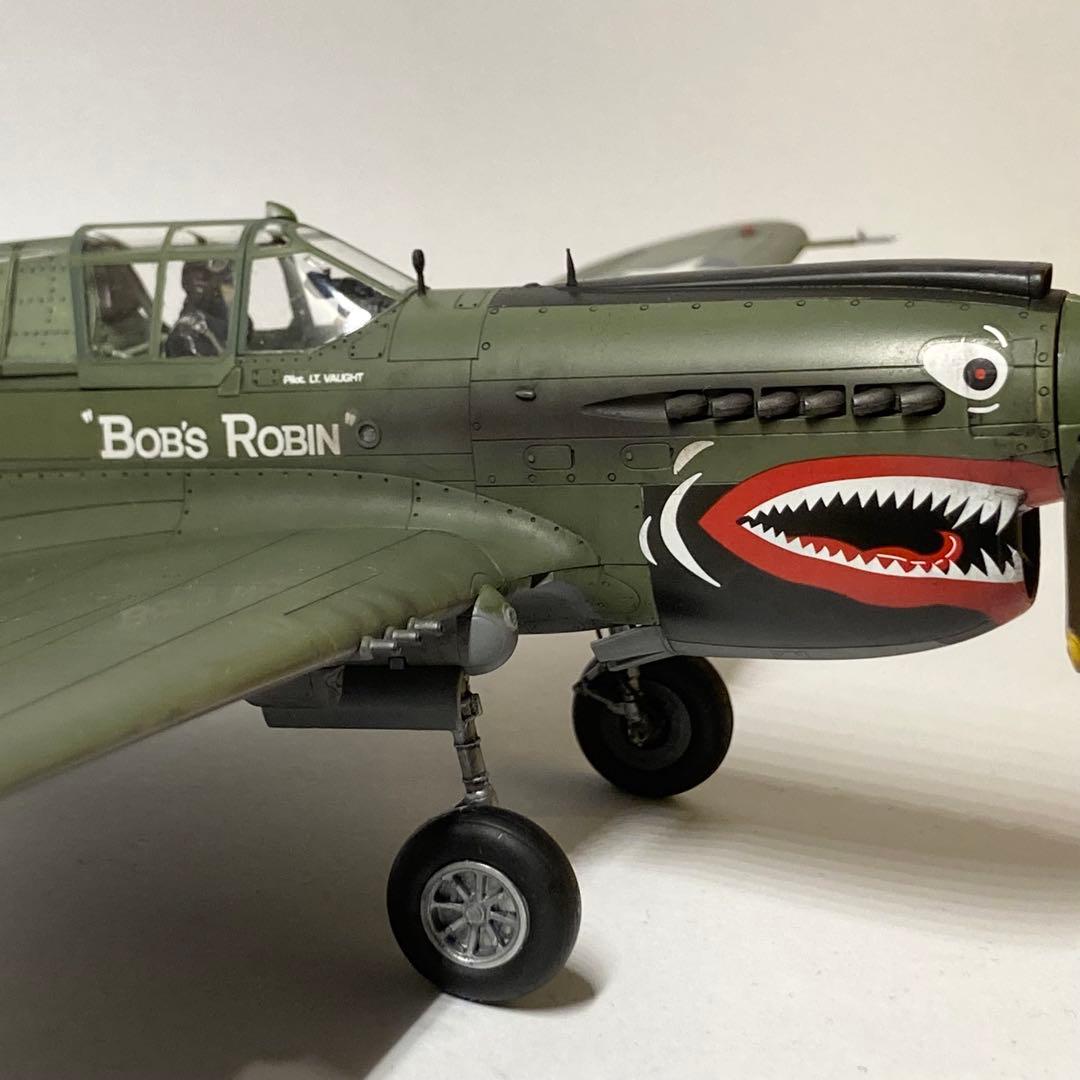 ムスタング/P-40E Warhawk (完成品)1/48 ハセガワ
