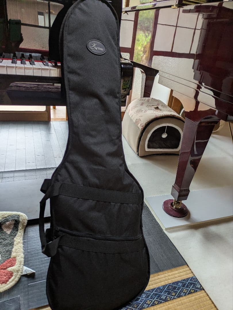 バスカーズ　BUSKER'S ブラック エレキギター ストラトタイプ