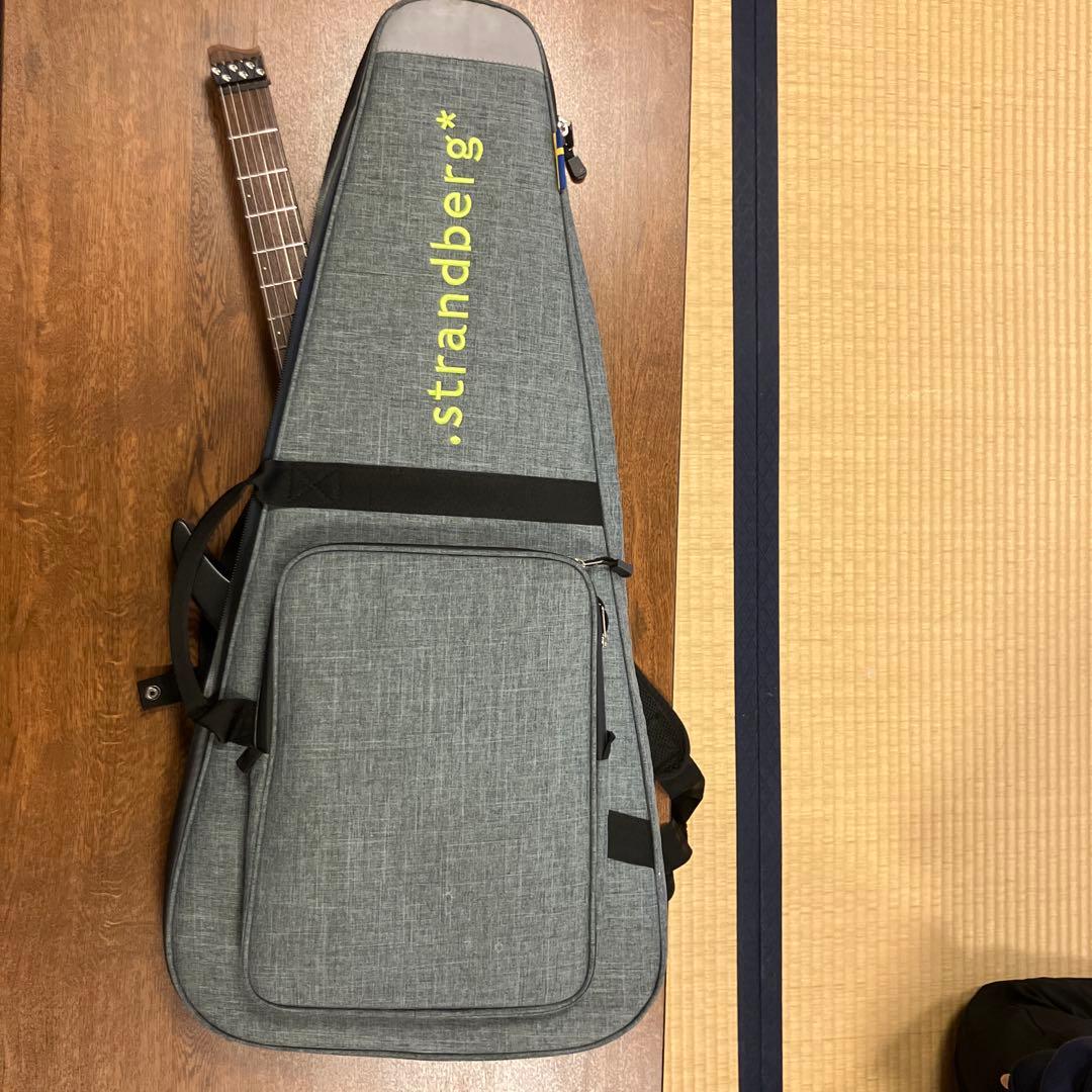 .strandberg* Boden エレキギター ブラック