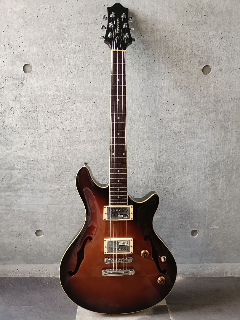 ギター Edwards E-PA-125D potbelly