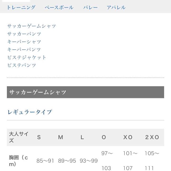 ＪＦＬ 奈良クラブ 岡山一成選手実使用ユニホーム