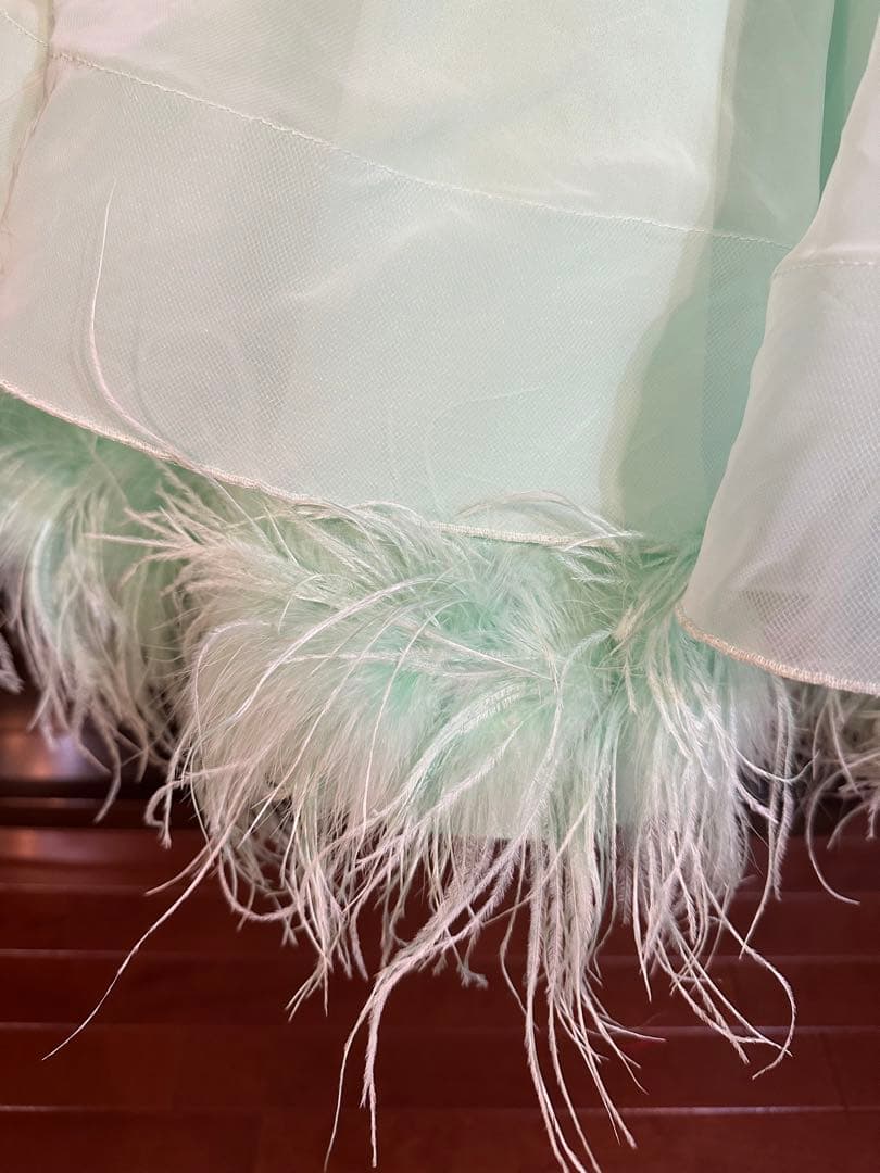 ダンス競技，デモ用ドレス