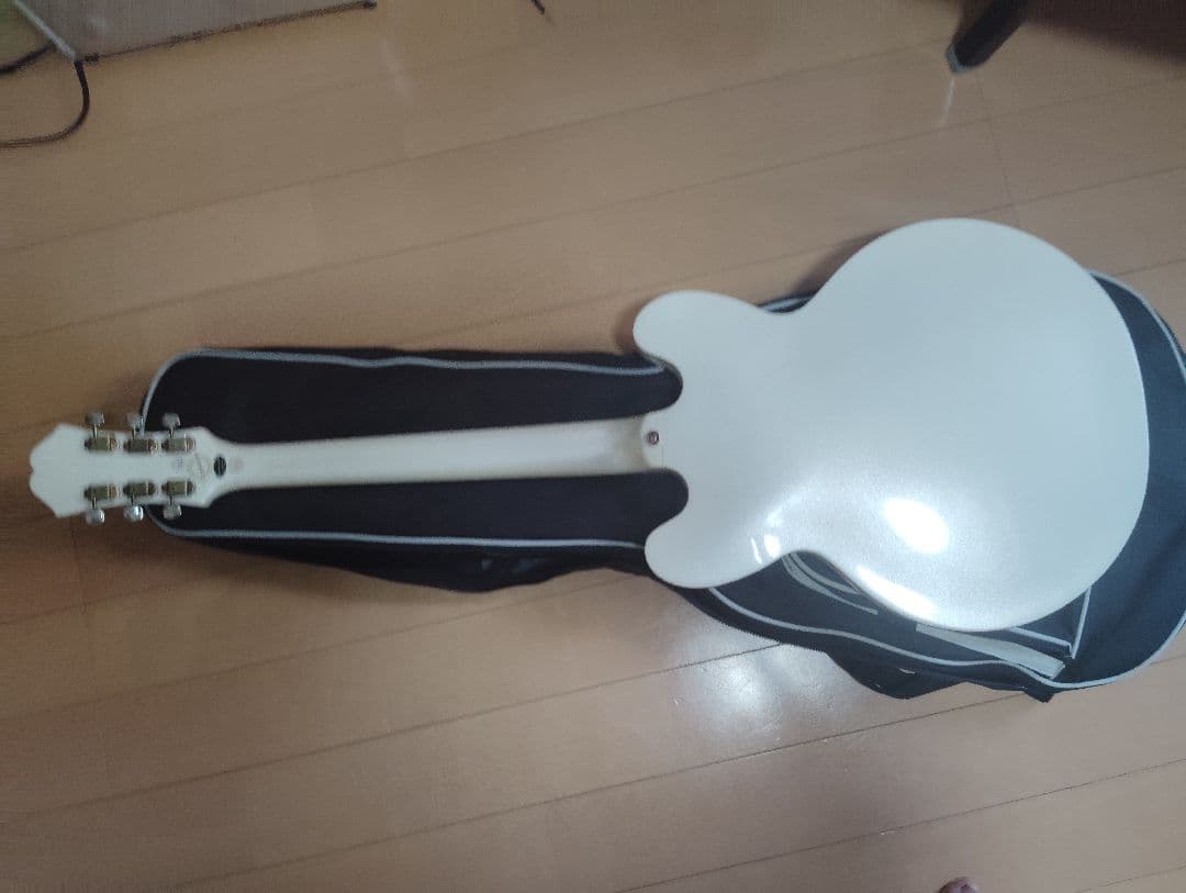 エピフォン リベエラ　P93 抜け殻