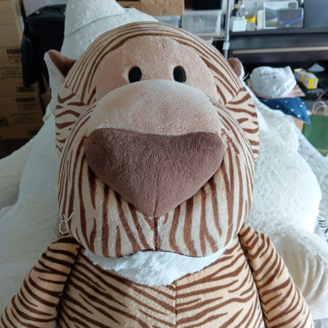 海外では、一家に一体はあるといわれるブランドの大きなトラのぬいぐるみです。