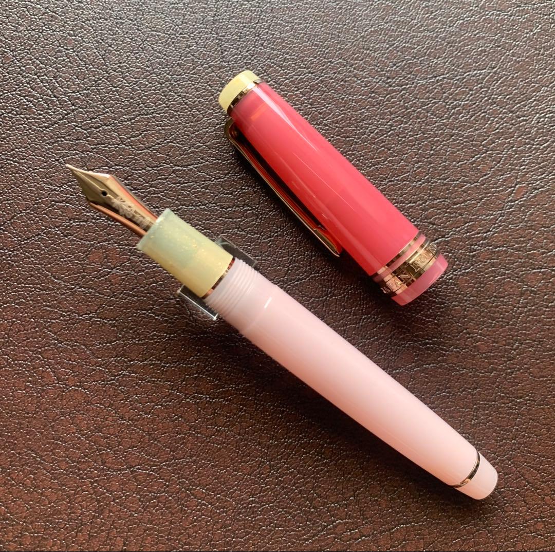海外限定セーラー万年筆 プロギアスリム ドライフラワーシリーズ ピンクローズMF