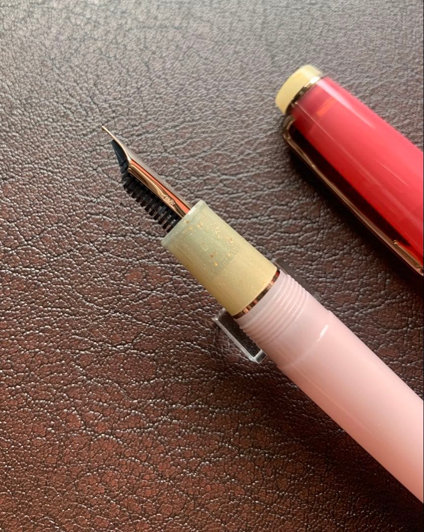 海外限定セーラー万年筆 プロギアスリム ドライフラワーシリーズ ピンクローズMF