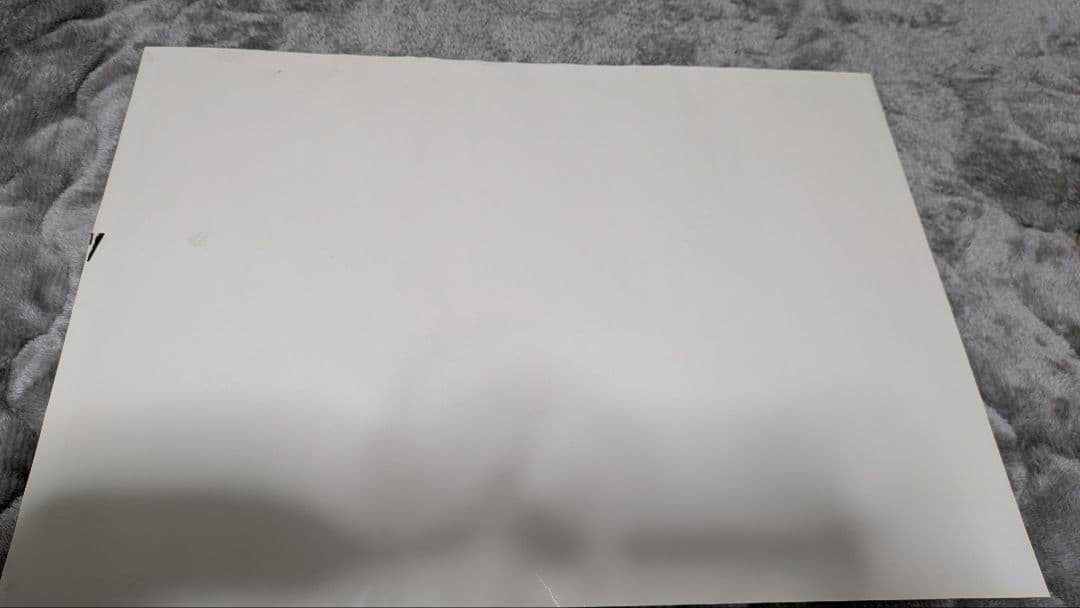 【希少】Aimer　直筆サイン　ポスター