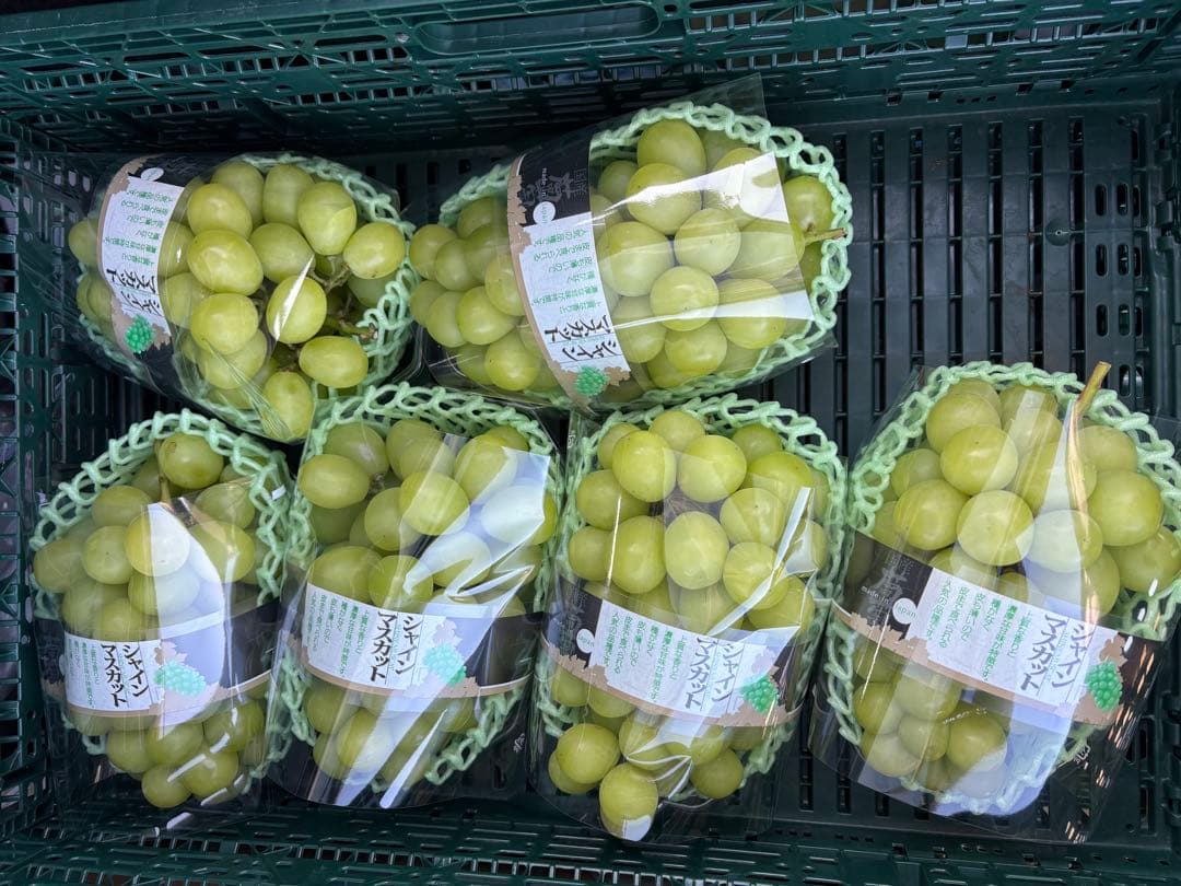 山梨県産　超特大　シャインマスカット　6房セット