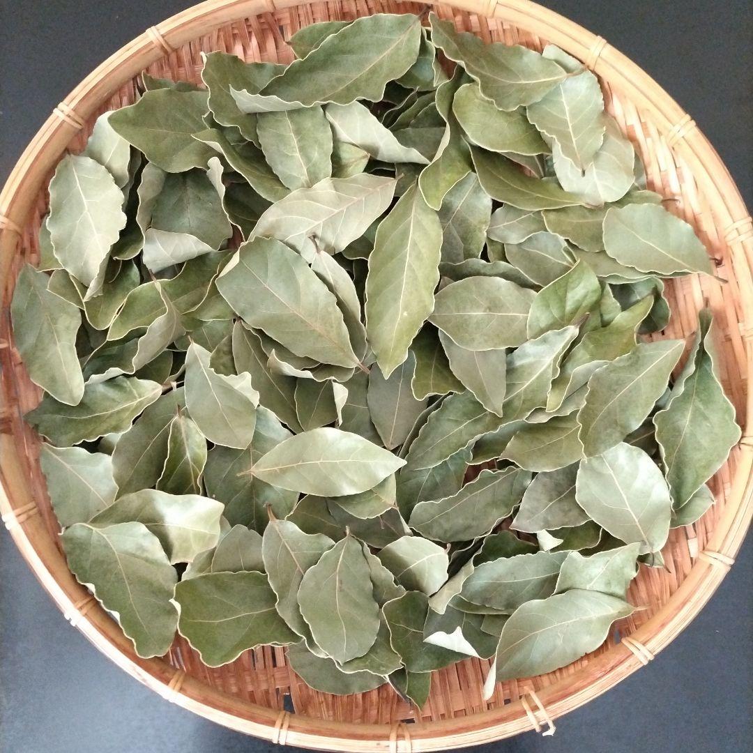 ローリエ　月桂樹　問い合わせ専用