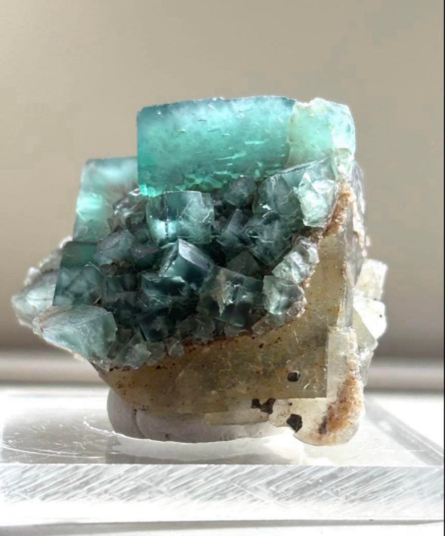 k*g様 レディアナベラ　toxic apple pocket フローライト　レ