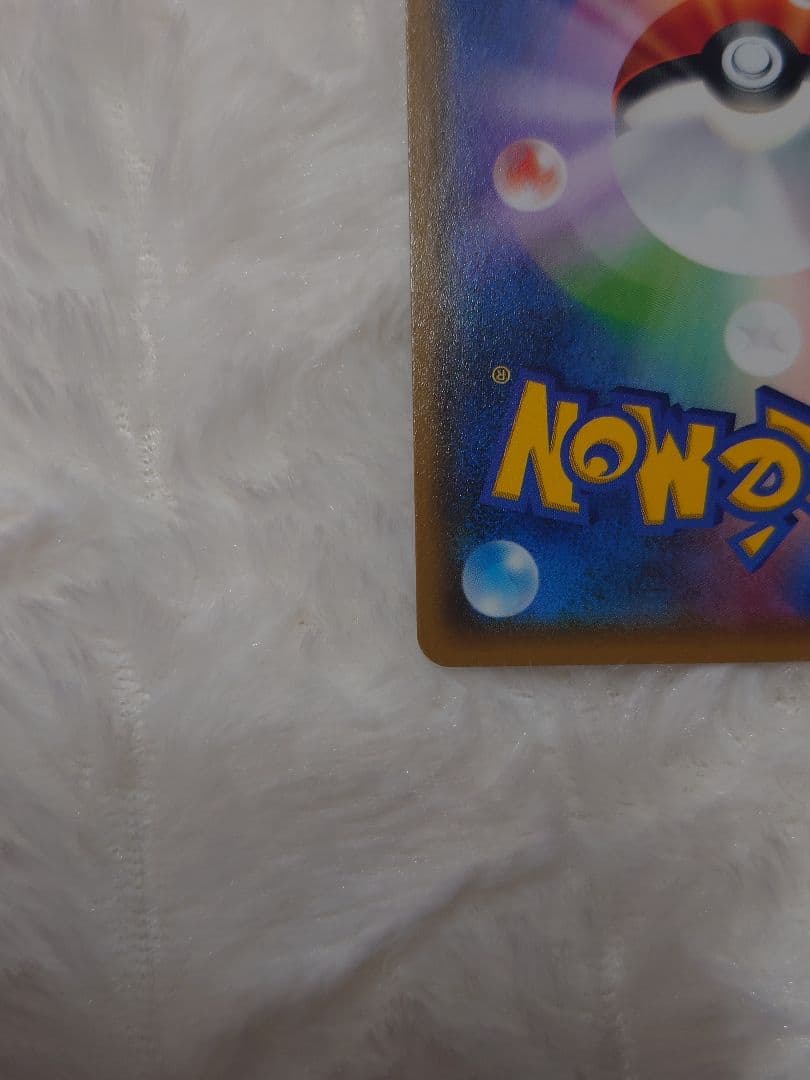 ポンチョを着たイーブイ サンダース