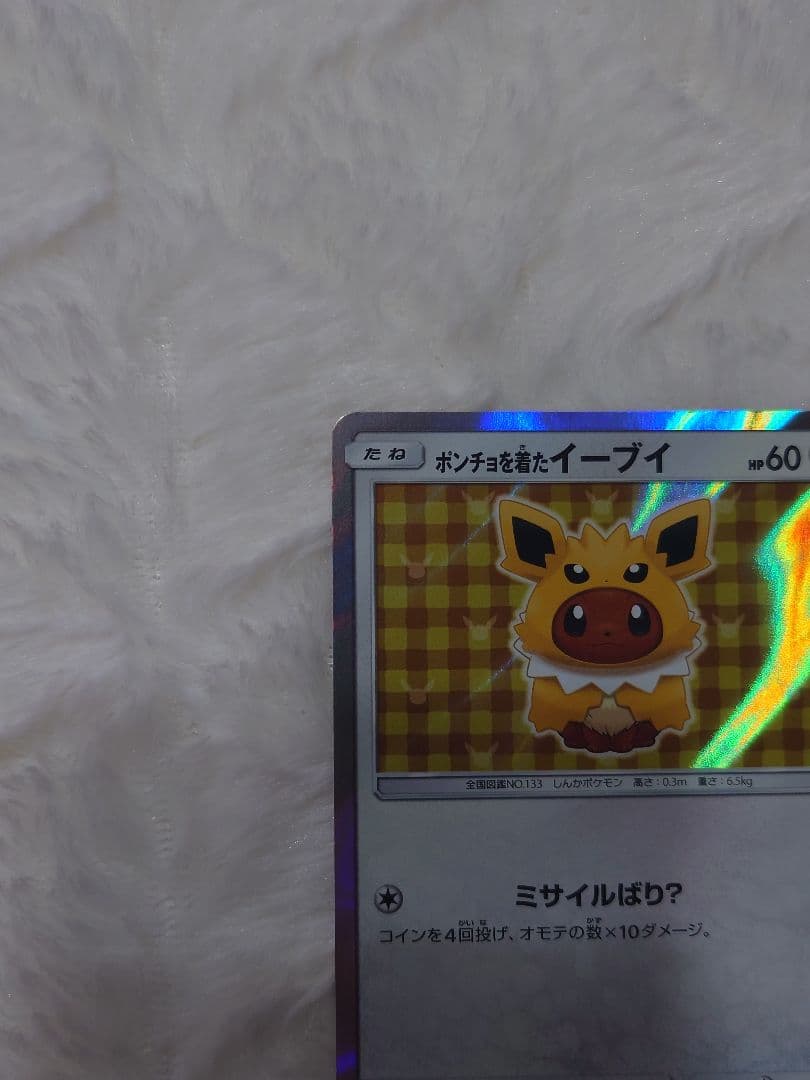 ポンチョを着たイーブイ サンダース