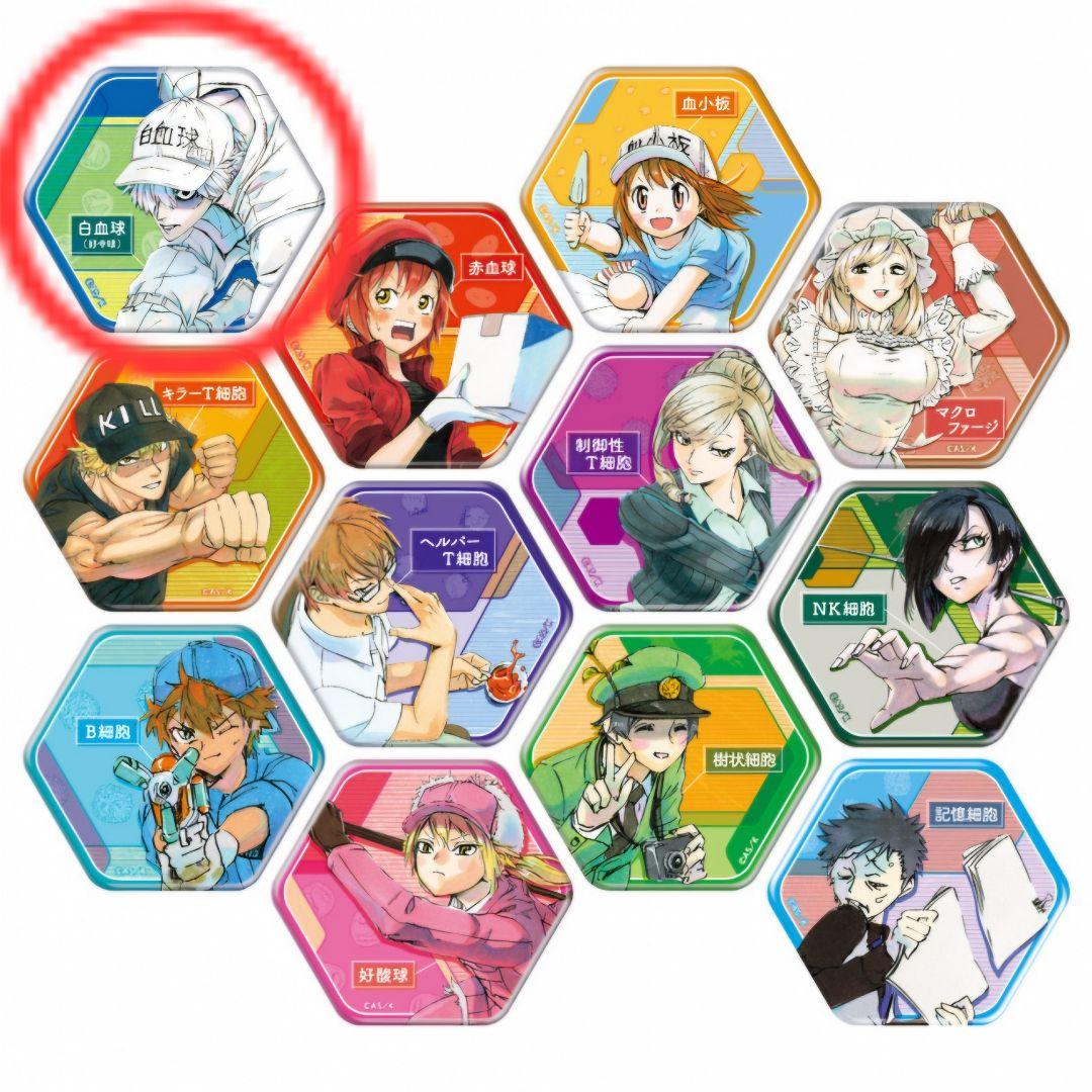 はたらく細胞 グッズセット