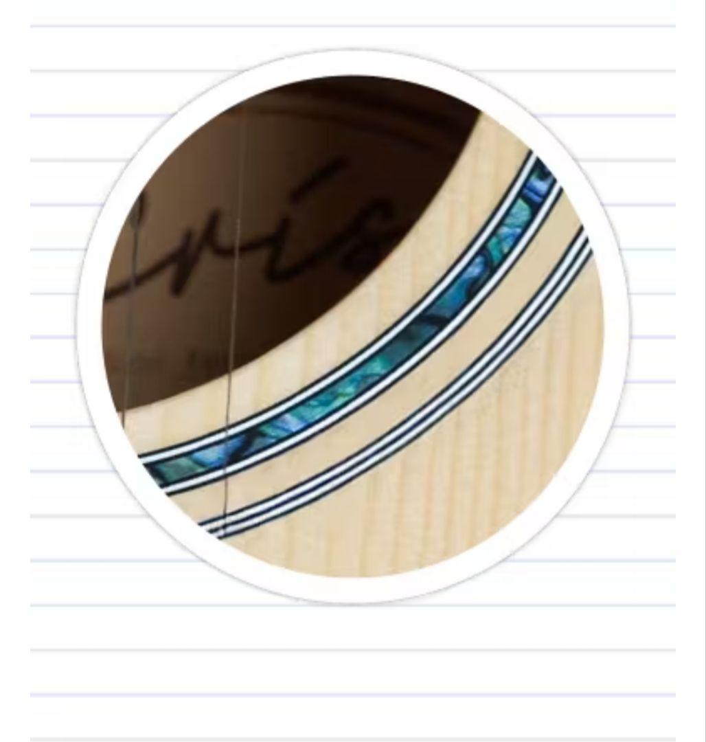 Eris. Aproa アコースティックギター、後貼り ピックガード3種付属