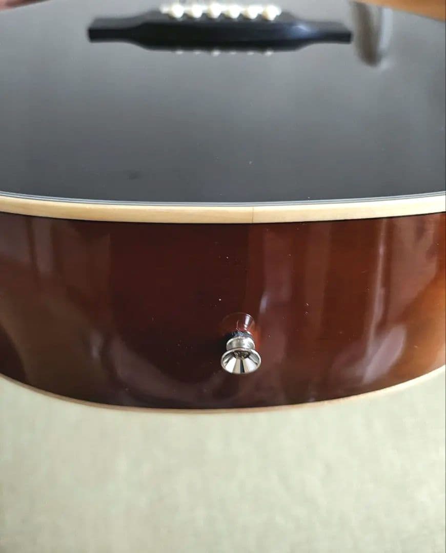 Eris. Aproa アコースティックギター、後貼り ピックガード3種付属