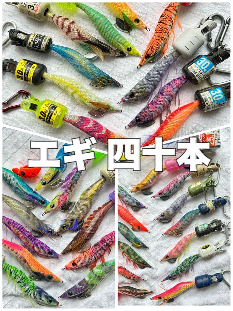 中古エギ　19本