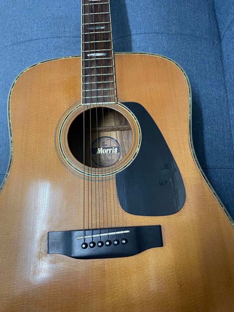 ❷Morris TF-801 アコースティックギター モーリス　楽器