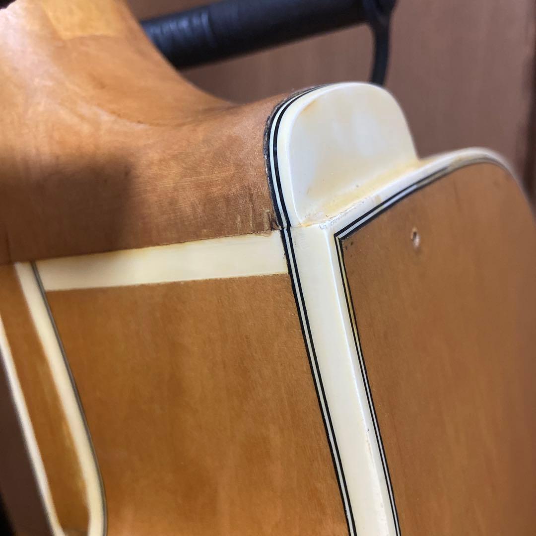 フルアコ 日本製　海外輸出モデル Epiphone NVJ-NT