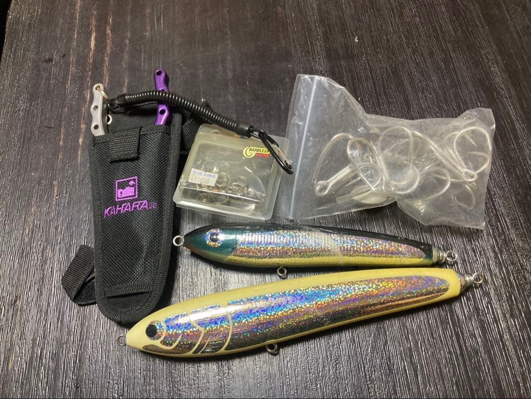 釣*屋様 カーペンター　ガンマ　希少カラー