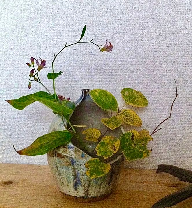 古唐津？年代ものの割れ壺