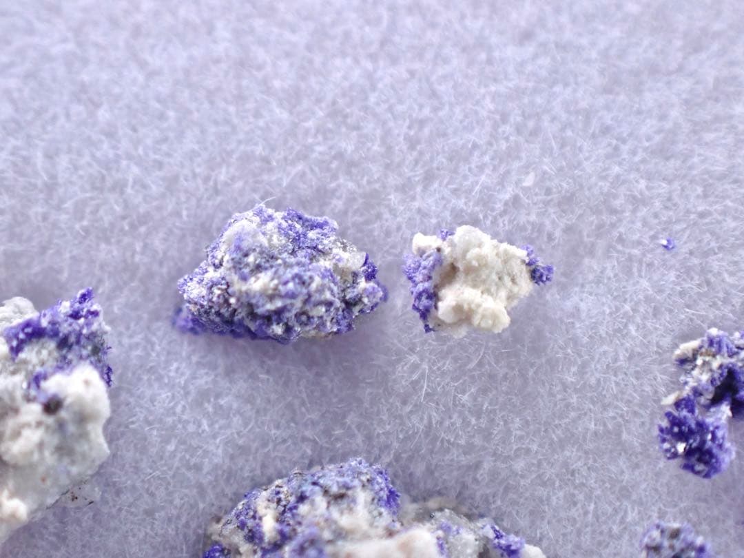 菊花状逸見石(TL) 布賀鉱山