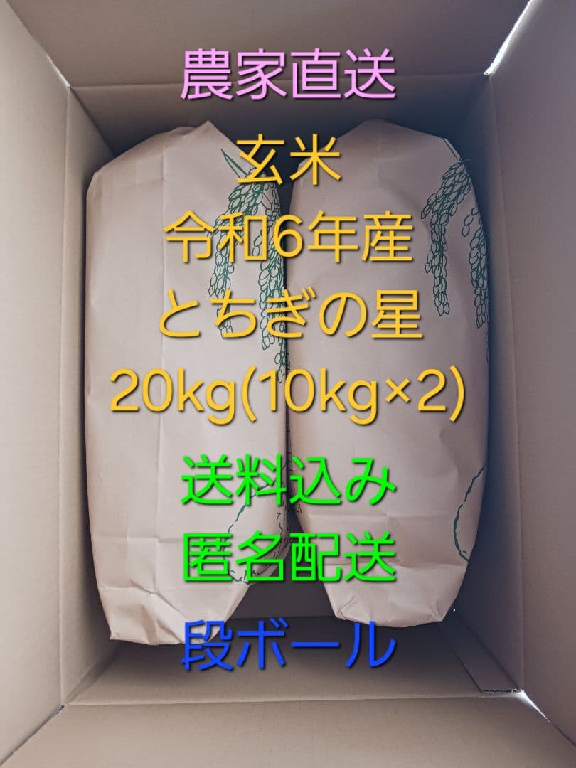 玄米20kg(10kg×2) 令和6年産 とちぎの星 送料込 匿名、段ボール配送