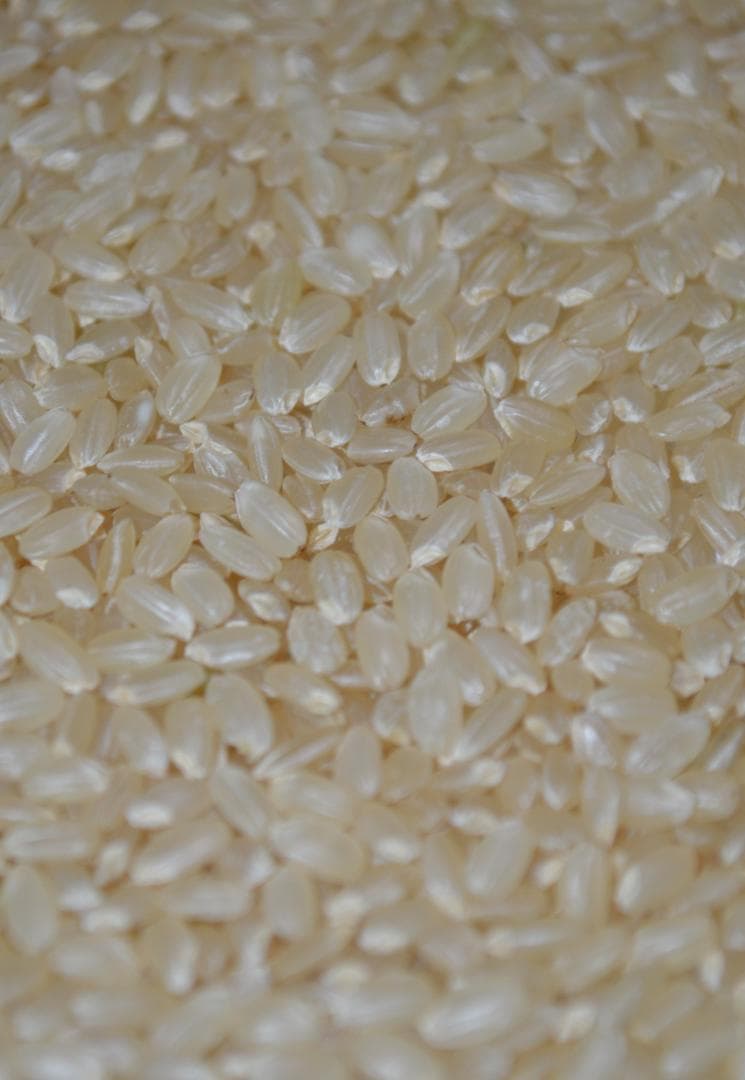 奇蹟の米「ゆうだい21」　玄米30㎏　格安販売　(送料無料)