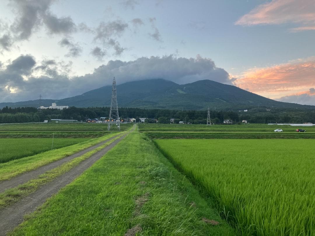 奇蹟の米「ゆうだい21」　玄米30㎏　格安販売　(送料無料)