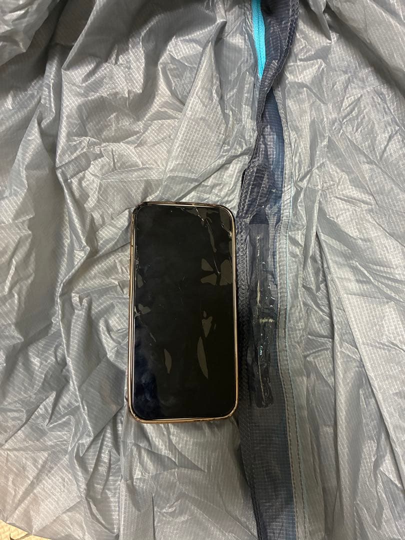 ニーモ ホーネットエリート オズモ 1P 【ul】3回使用