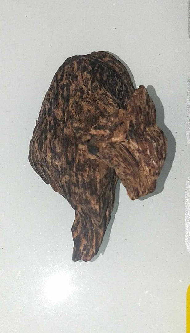 超貴重なベトナム産沈香9g !